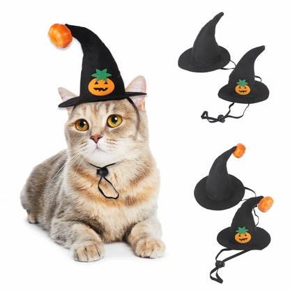 Costume di Halloween per gatti e cani con ali da pipistrello e campanelli