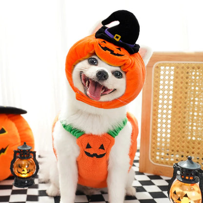 Costume di Halloween per gatti e cani piccoli: cappello e sciarpa a zucca