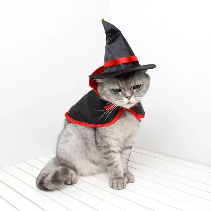 Costume di Halloween per cani e gatti: mantello e cappello da strega