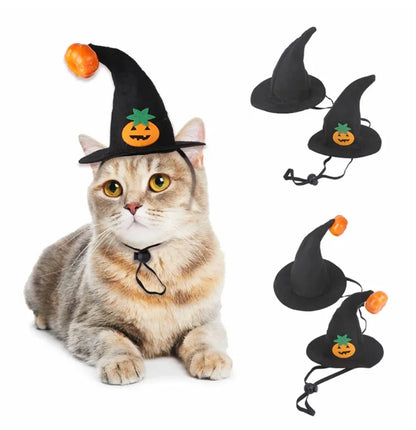 Costume di Halloween per gatti e cani con ali da pipistrello e campanelli