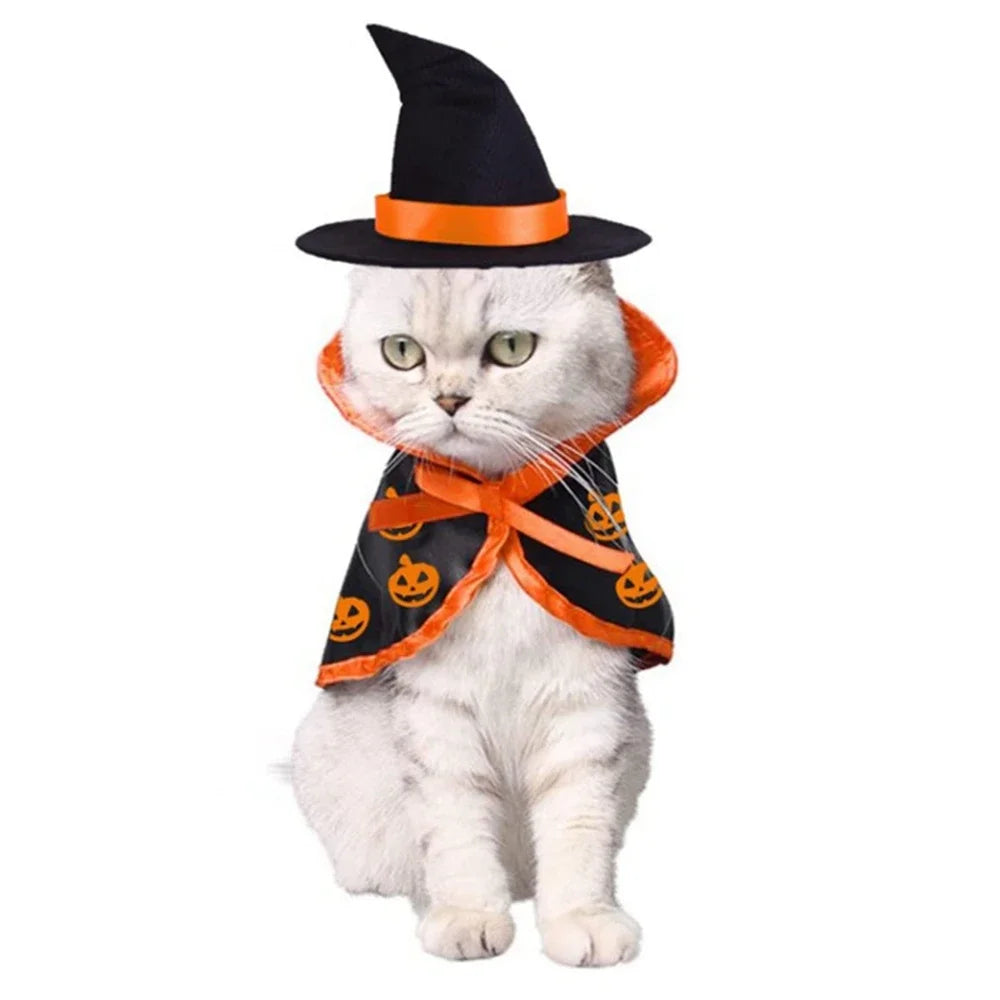 Costume di Halloween per cani e gatti: mantello e cappello da strega