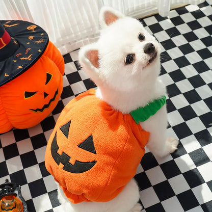 Costume di Halloween per gatti e cani piccoli: cappello e sciarpa a zucca