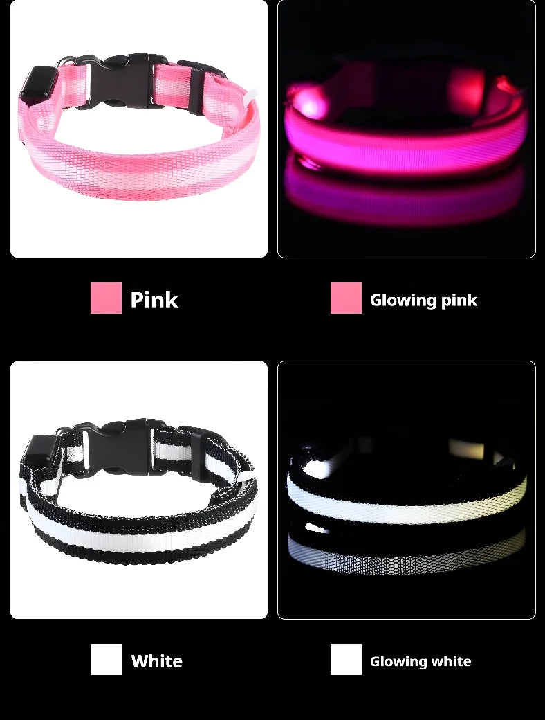 Collare per cani in nylon LED luminoso per sicurezza notturna