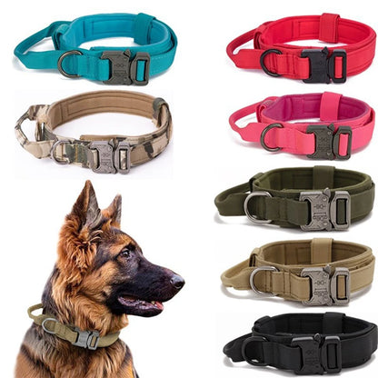 Set di collare e guinzaglio riflettente per cani in nylon resistente