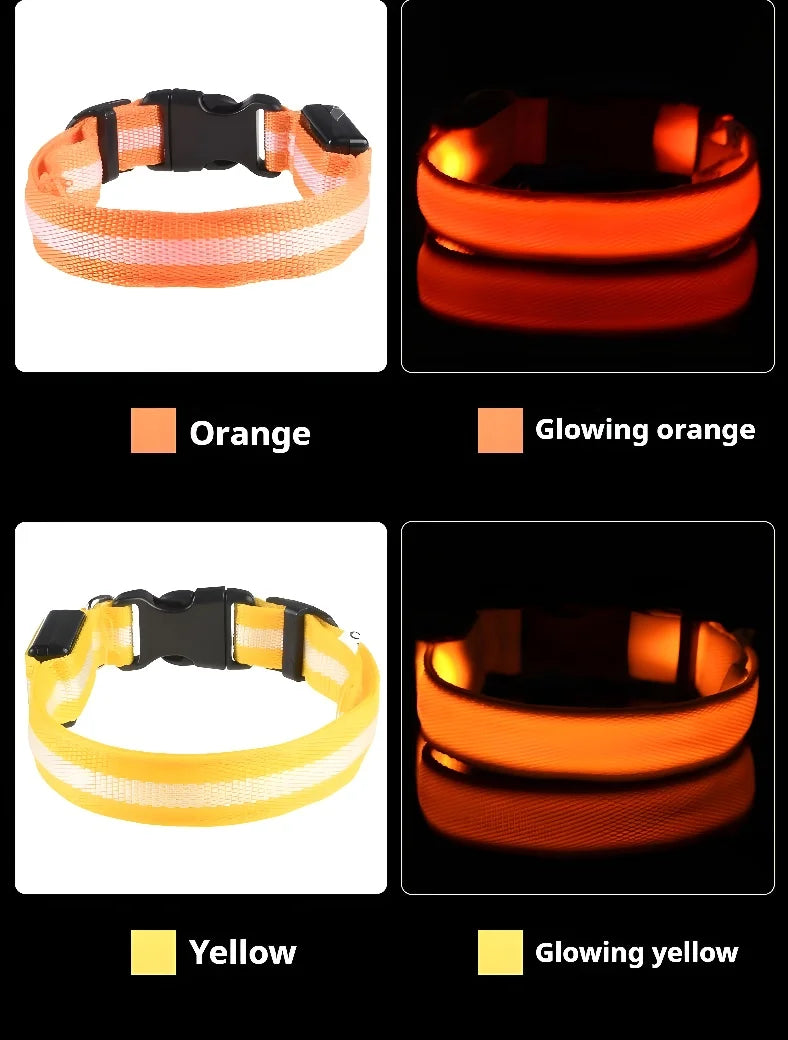 Collare per cani in nylon LED luminoso per sicurezza notturna