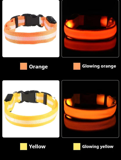 Collare per cani in nylon LED luminoso per sicurezza notturna