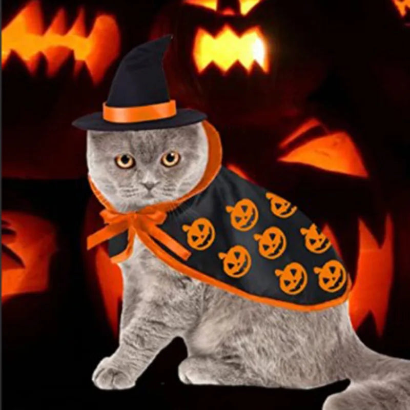 Costume di Halloween per cani e gatti: mantello e cappello da strega