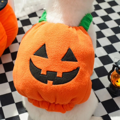 Costume di Halloween per gatti e cani piccoli: cappello e sciarpa a zucca