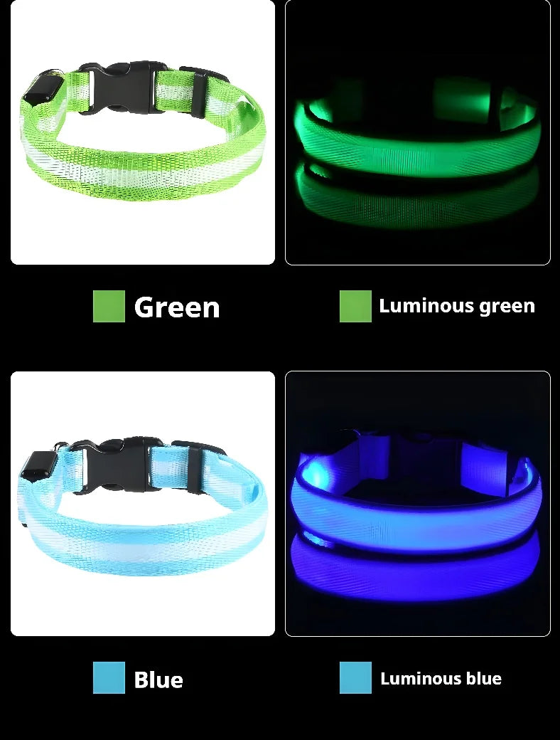 Collare per cani in nylon LED luminoso per sicurezza notturna