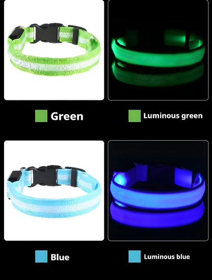 Collare per cani in nylon LED luminoso per sicurezza notturna