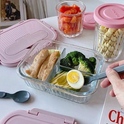 Contenitore per Pranzo in Vetro Borosilicato con Coperchio Ermetico