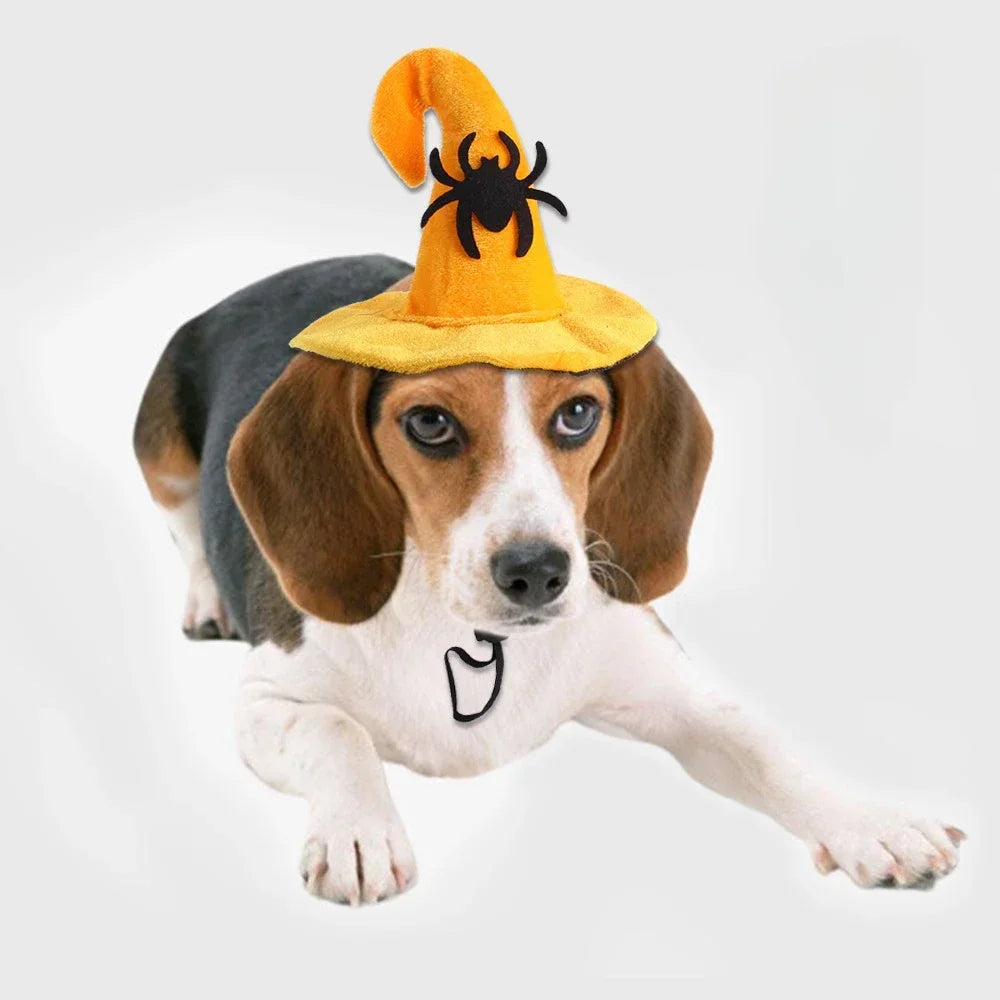 Costume di Halloween per gatti e cani con ali da pipistrello e campanelli