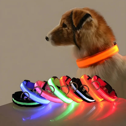 Collare per cani in nylon LED luminoso per sicurezza notturna