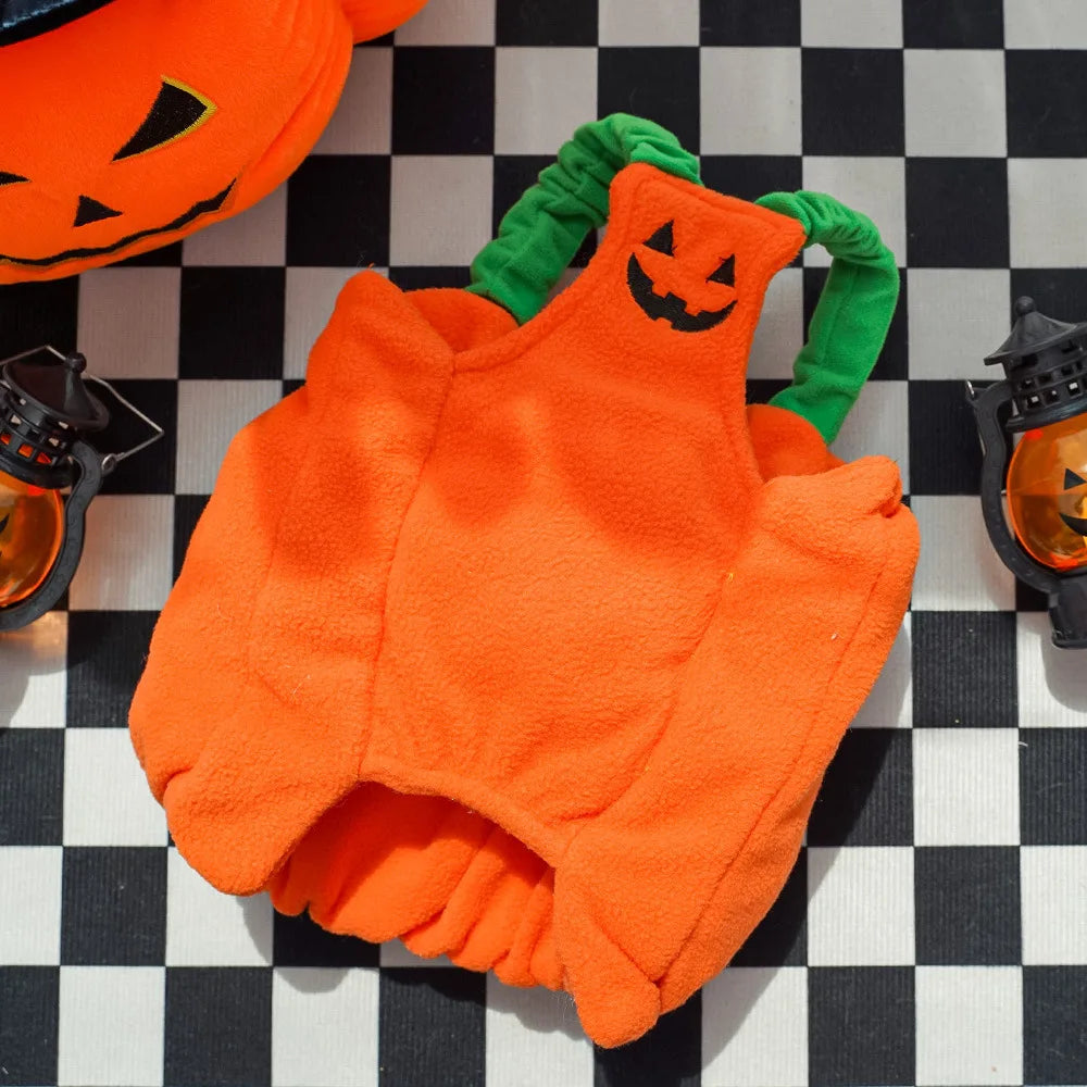 Costume di Halloween per gatti e cani piccoli: cappello e sciarpa a zucca