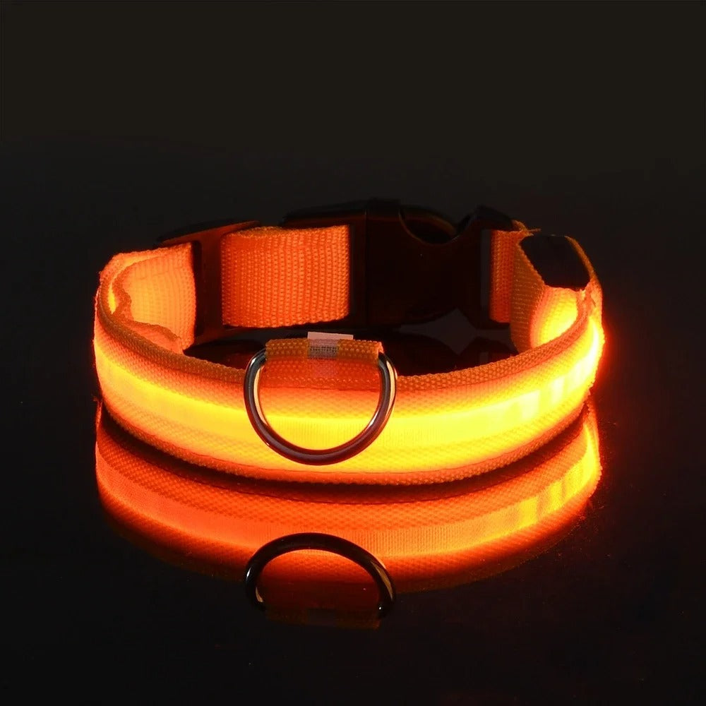 Collare per cani in nylon LED luminoso per sicurezza notturna