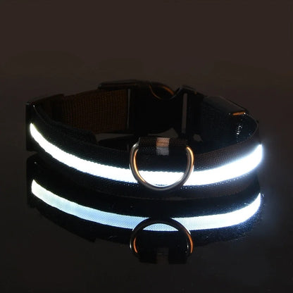 Collare per cani in nylon LED luminoso per sicurezza notturna