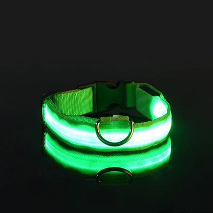 Collare per cani in nylon LED luminoso per sicurezza notturna