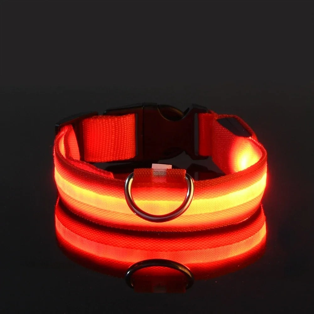 Collare per cani in nylon LED luminoso per sicurezza notturna