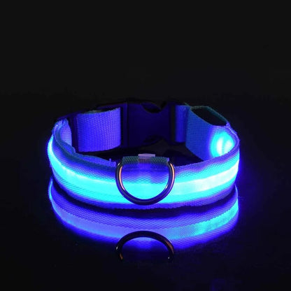 Collare per cani in nylon LED luminoso per sicurezza notturna