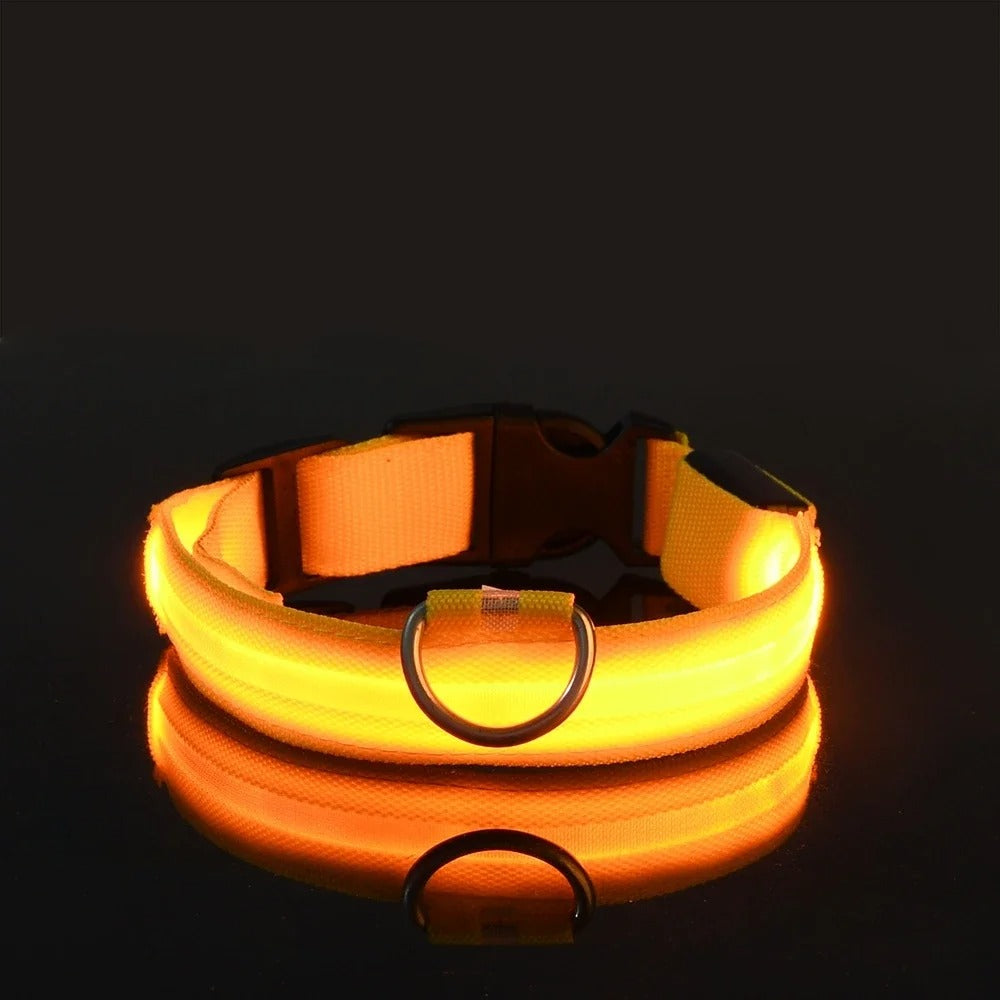 Collare per cani in nylon LED luminoso per sicurezza notturna