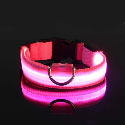 Collare per cani in nylon LED luminoso per sicurezza notturna